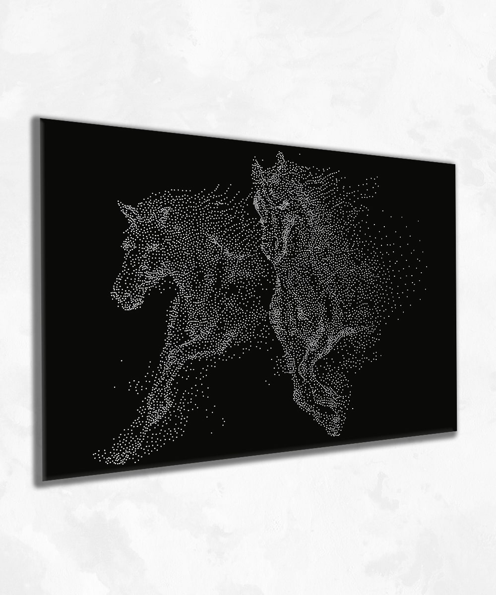 Twin Horse Motion – Germe Kanvas Tablo